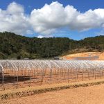 làm nông nhà kính nhàn hơn