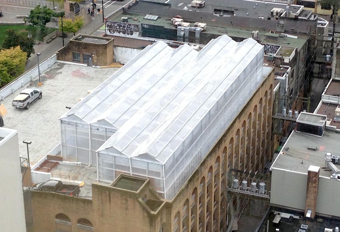 mô hình nhà kính trên sân thượng