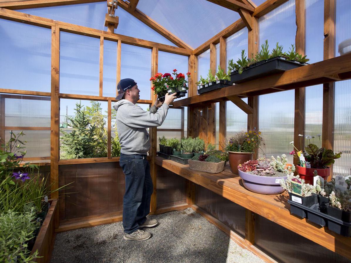 nhà kính trên sân thượng hộ gia đình