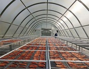 mô tả nhà kính phơi sấy