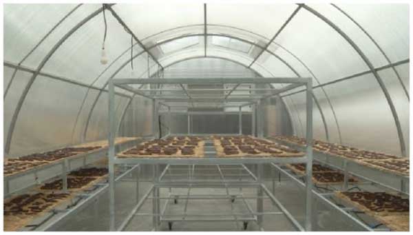 mô tả nhà kinh sấy