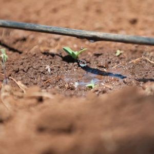 mô tả hình ảnh hệ thống tưới nhỏ giọt netafim