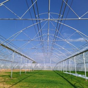 hình ảnh nhà kính 2 cửa mái