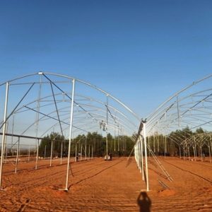 NHÀ KÍNH MÁI VÒM