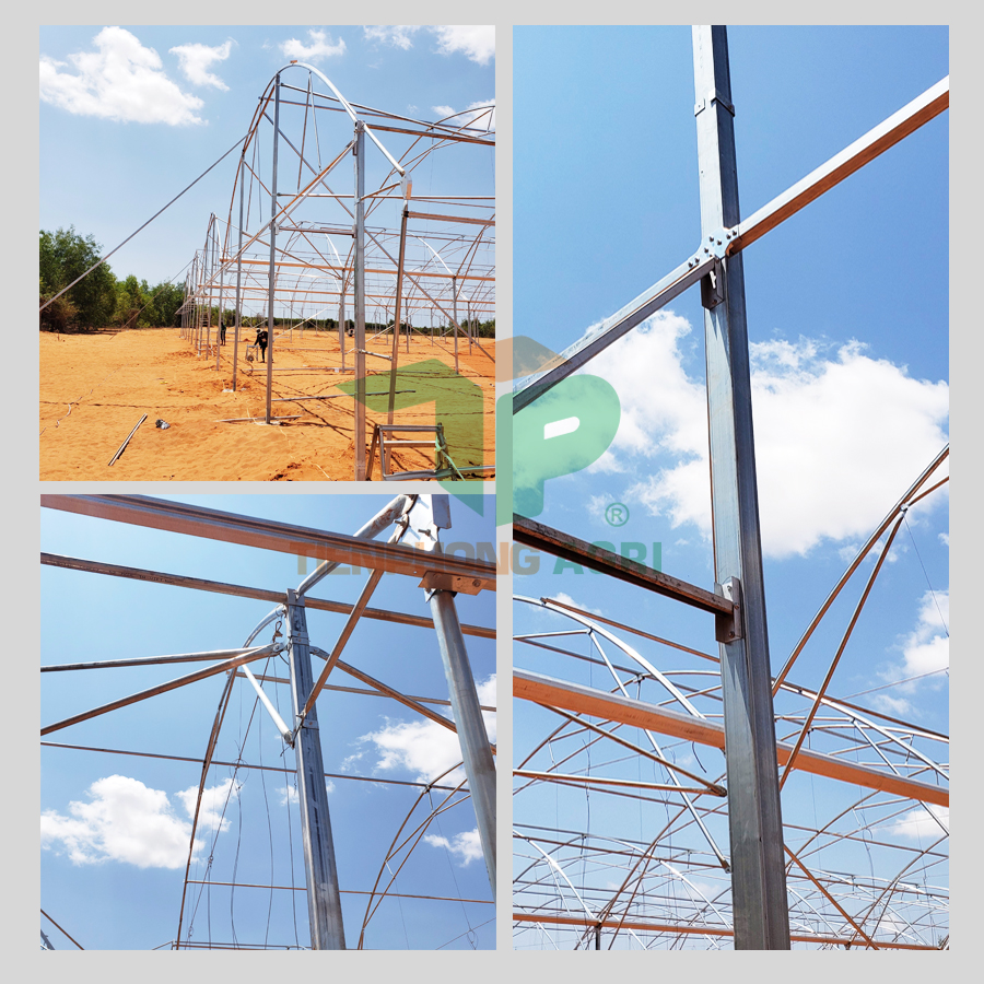 mô tả nhà kính mái vòm